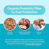 Private Labels 60 Billion Probiotics Supplement Lactobacillus Acidophilus Probiotic Tablets Capsules for Digestive Health