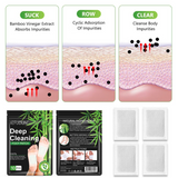 Deep Cleansing Detox Patch - 10 Pieces